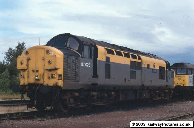 37023 in Chocholate Cream Livery