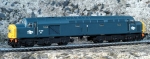 40 169 Bachmann Class 40